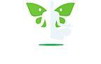 ICOBELLI